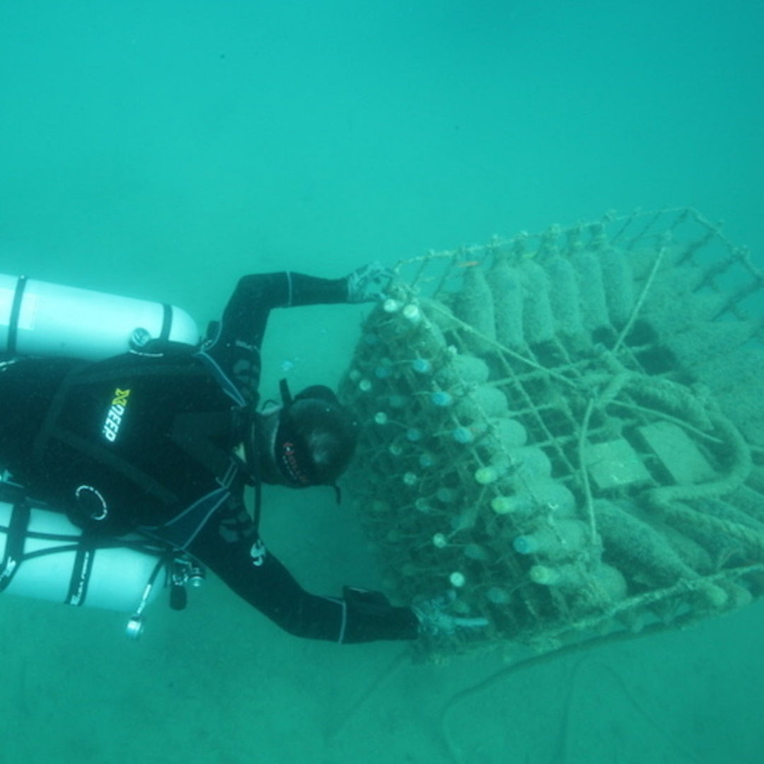 coral-wine-croatia-05