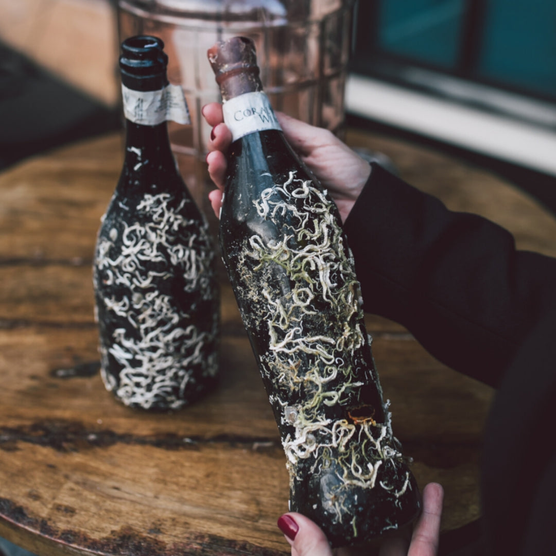 coral-wine-croatia-02