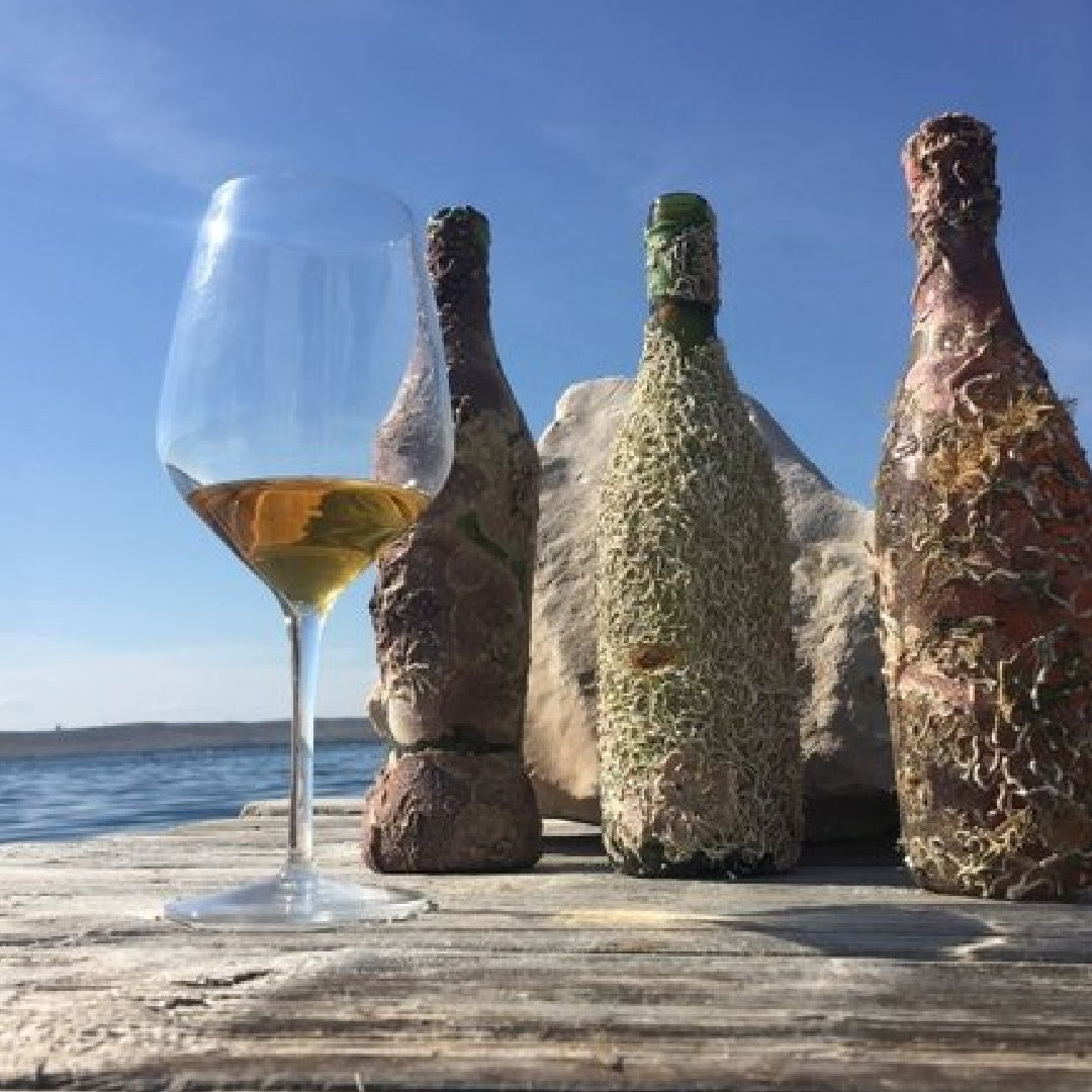 coral-wine-croatia-04