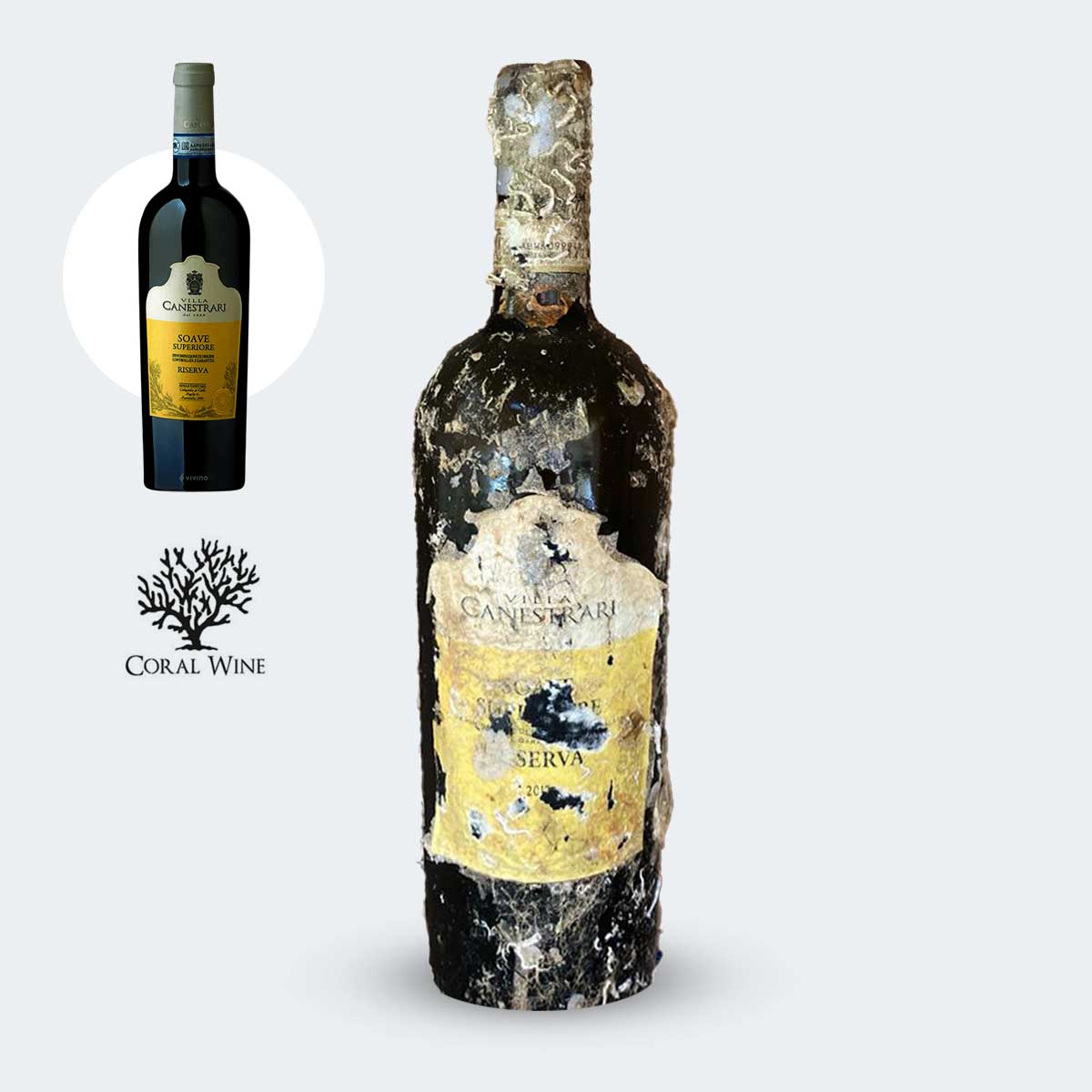 Coral Wine Vila Canestrari Soave