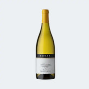 Sauvignon Kamenice Korak