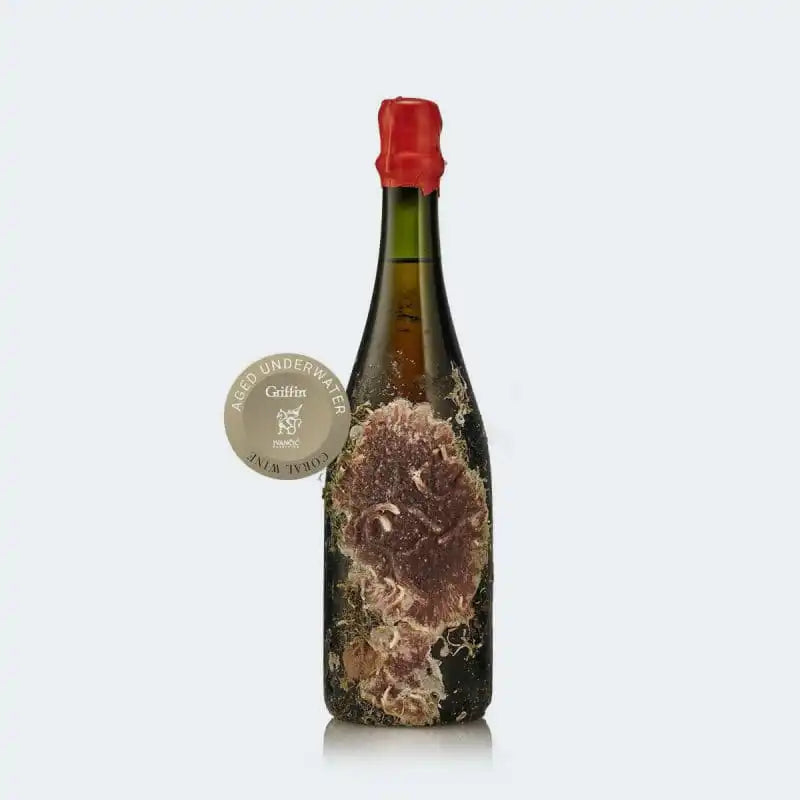 Coral Wine Rose Ivančić Griffin