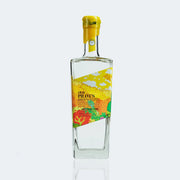 old-pilots-art-edition