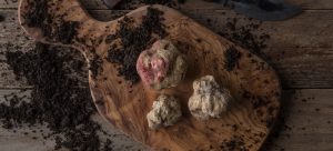 fresh white truffles