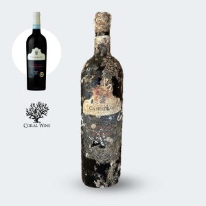 Coral Wine Vila Canestrari Valpolicella Superiore